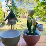 Apartmán Vadvirag Apartmanhaz