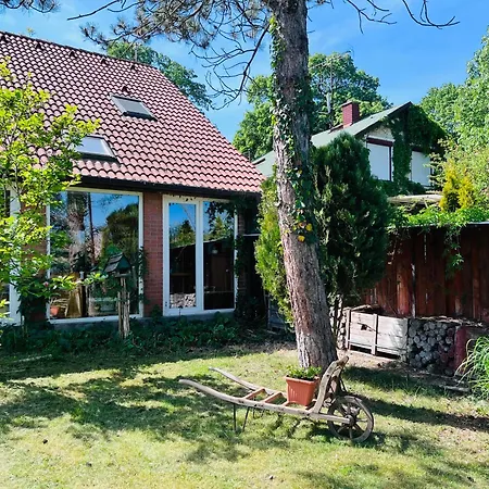 Apartment Vadvirag Apartmanhaz Gyomaendrod