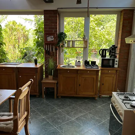 Vadvirag Apartmanhaz Apartment Gyomaendrod